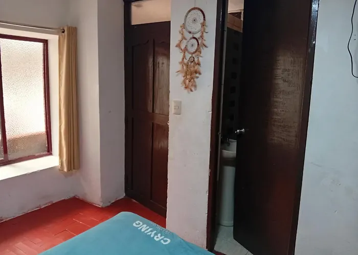 Bed and breakfast Rumi House *